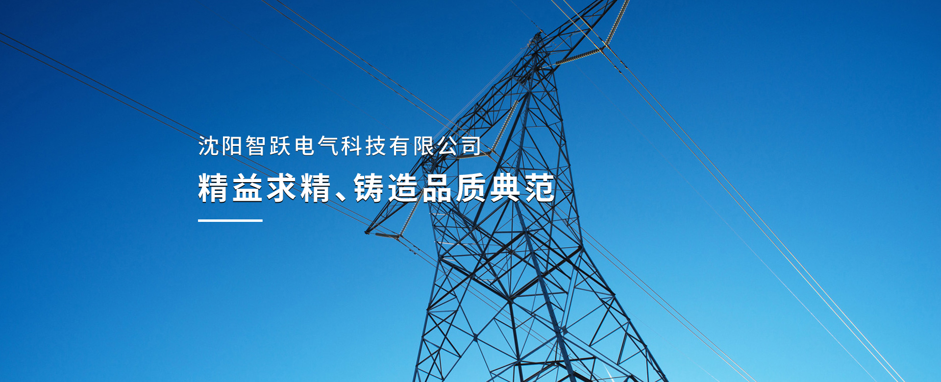 沈陽(yáng)智躍電氣科技有限公司